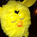 shawna ford - @ford_shawna - Twitter