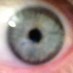Hugh Jorgen (@hughjorgen921) Twitter profile photo Hugh Jorgen (@hughjorgen921) Twitter profile photo