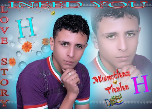 مطاوع
