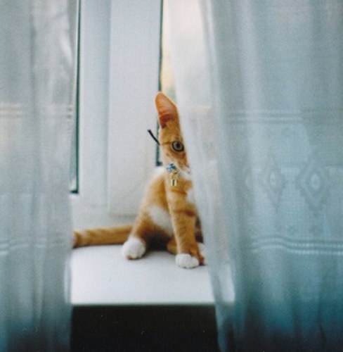 selectus_'s profile picture. back up account, spam account, whatever.