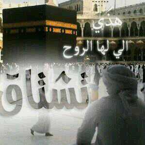 الحب أحرفه دمشق و سهر الليل فيها عشق إن أردتم وصل ود و السما رعد و برق في طريق الشام سيروا نجمة الشام دمشق ❤️❤️❤️دمشق❤️❤️❤️