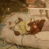 JoyRd-Exit_9 (@darcheller) 's Twitter Profile