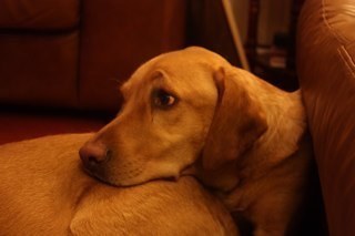 femcmurray's profile picture. 