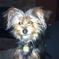 rob duncan (@robbydunc) 's Twitter Profile
