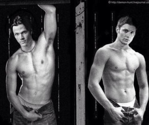 SUPPORTACTORSOF's profile picture. HUNTER+SPN ADDICTE + SPN ACTORS LOVER+ MISHA MINION and i am a member of the #SPNFAMILY . and i like sabriel destiel and normal.