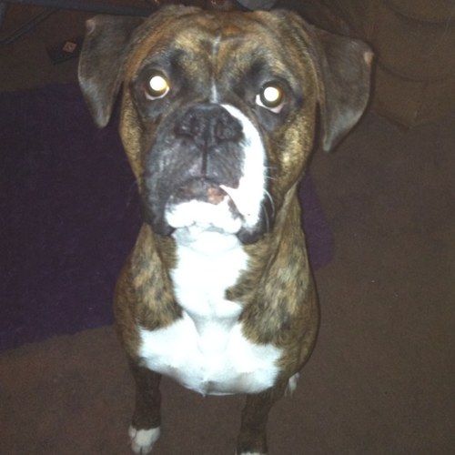 SlimRuxx's profile picture. Hazardous