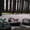 Cynthia McDaniel - @cyn2103rn - Twitter