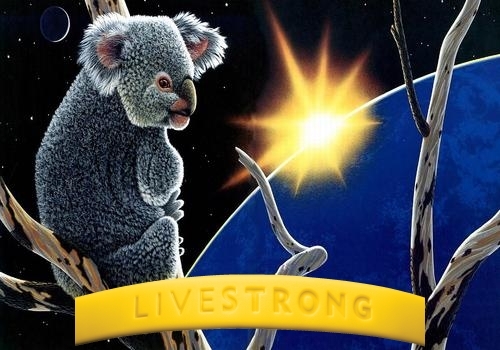 Cyndie4's profile picture. 