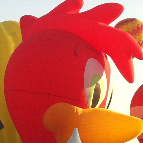 FinolaAustin's profile picture. 