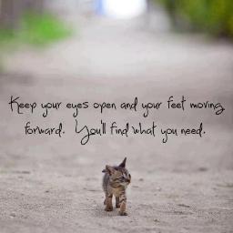 TKM1974's profile picture. Hi I'm Tina