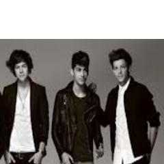 Directioner :P