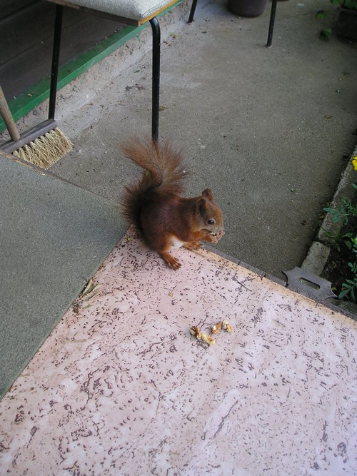 Amerika na prvním místě