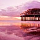 Derek Fitzpatrick - @ElliottBauer298 - Twitter