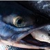Haida Gwaii CoASt (@hgcoast) Twitter profile photo Haida Gwaii CoASt (@hgcoast) Twitter profile photo