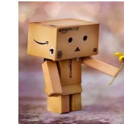 indahnoviiT's profile picture. waiting for you :')

and I WILL ALWAYS LOVE YOU :* :)
I am love DANBO:*