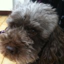 Steve Ashman - @bosdecorator - Twitter