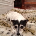 Jan Ritchie - @jan_ritchie - Twitter