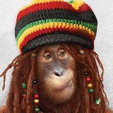 so tired .. to back to the anger ... did i tell you your wonderful ? i miss u #MonkeyLove