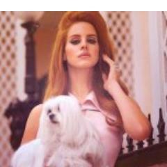 Hi I'm directioner!\ belieber\Lana's carmen\~niall is my everything lana del rey is my life @NiallOfficial @LanaDelRey.@justinbieber  follow me