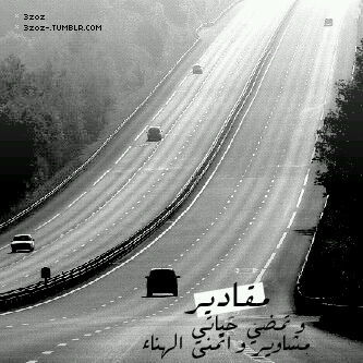 aaoo1186's profile picture. 