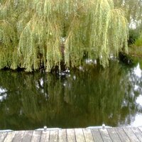 wonen aan het water (@recreeerofwoon) 's Twitter Profile