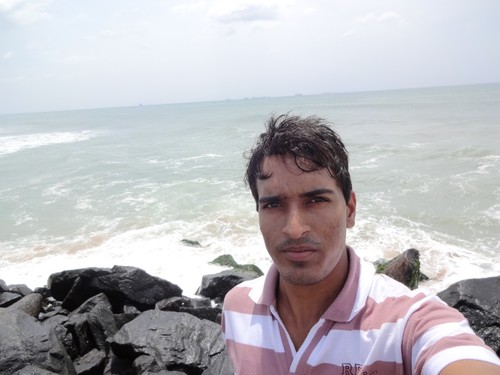 BHEL engineer
