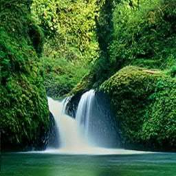 Jack_234_'s profile picture. Gardening