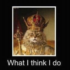 iwasthemadness's profile picture. I only know about three things: horses, music, and... nope just two then.