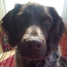 JBrandlhofer's profile picture. 