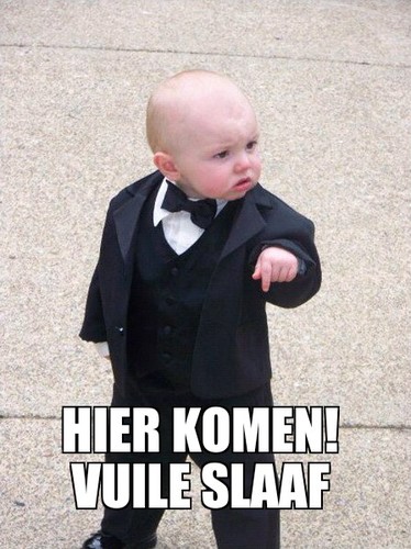 12 jaartjes en single
