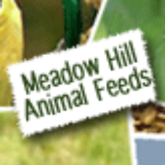 Everything Animal Feeds...horses, dogs, cats, wild birds, small furries, poultry, pigs, alpacas, goats...Newcastle/Northumberland
http://t.co/mPAqVl0Gdc