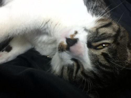 mickさんのプロフィール画像