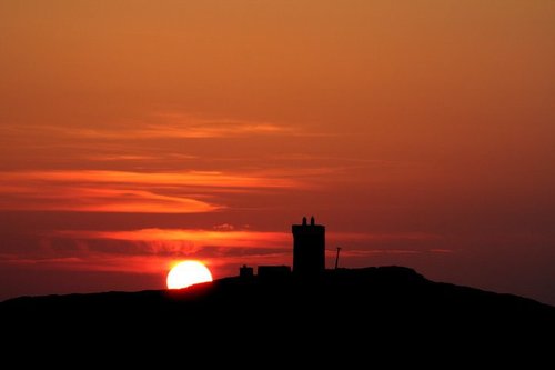 SunnyMalinHead Profile Picture