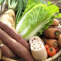 お野菜です。栄養価が高いです。