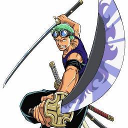 Zoro est un personnage aux allures sérieuses et froides. Il a un tempérament par moment réfléchi mais excessif