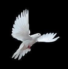 Suicide isnt the only way to be free. If anyone ever wants to talk then go ahead and tell me. Im here to help. Well. See ya til then.