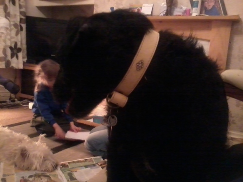 gedfeast1's profile picture. 