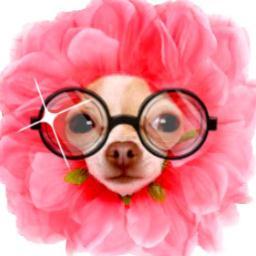 GeniusFlowerDog's profile picture. 