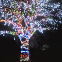 Terri Drew - @TerriDrew2 - Twitter