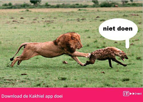 Eet-én drinkliefhebber, kwaliteit, conokaas. Altijd op zoek naar anders maar toch gewoon. Hou van mensen die met liefde en passie met hun vak bezig zijn. Durf!