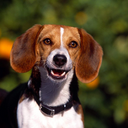 Philip Frye - @fryesenterprise - Twitter