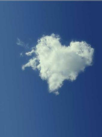 navy_aquarius's profile picture. 