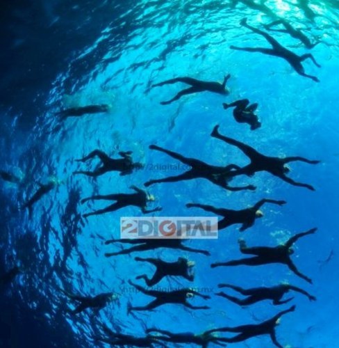 acmanonline's profile picture. Florida business owner, active Triathlete, ultra MAGA