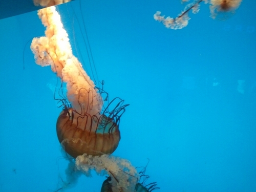 Embolina01's profile picture. 