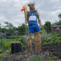 Dads Lane Allotments (@dadslaneallo) 's Twitter Profile