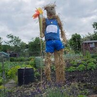 Dads Lane Allotments(@DadsLaneAllo) 's Twitter Profileg