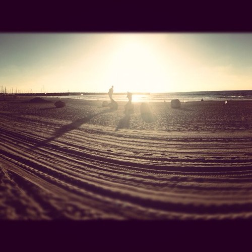 OneTrickPick's profile picture. shitty ow player