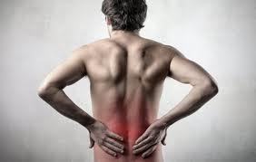 ChiropractorVN's profile picture. Chiropractors In Van Nuys
Dr. Robert Bentley Armani
14545 Sylvan Street
Van Nuys, CA  91411
Tel: 818-988-2123
http://t.co/iDdnAP3rJo
Van Nuys CA