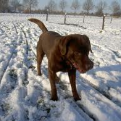 alinde16's profile picture. 