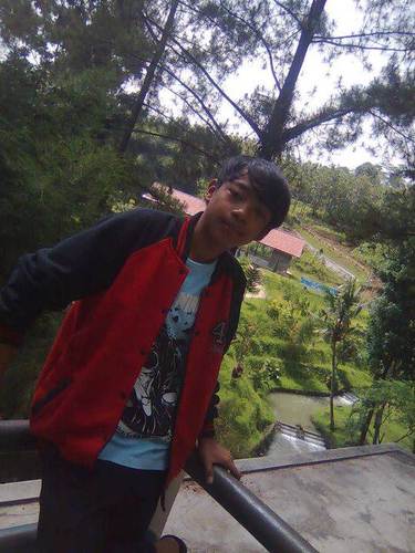 devans_ns's profile picture. 